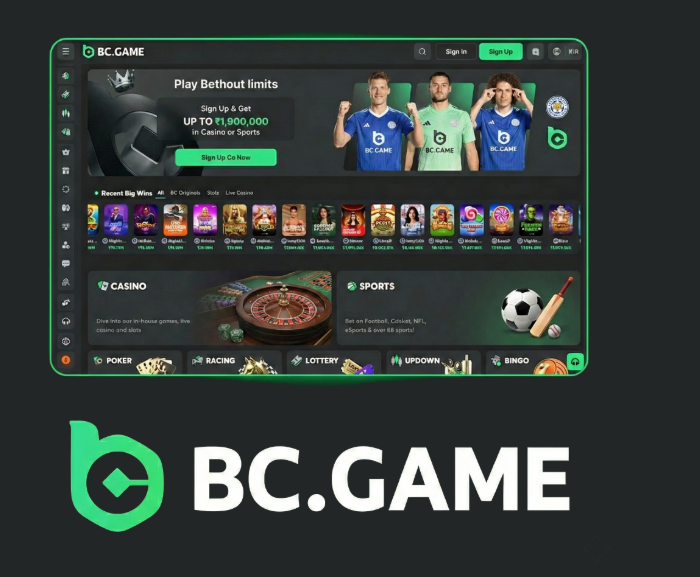 Exploring BC.Game Mirrors A Comprehensive Guide